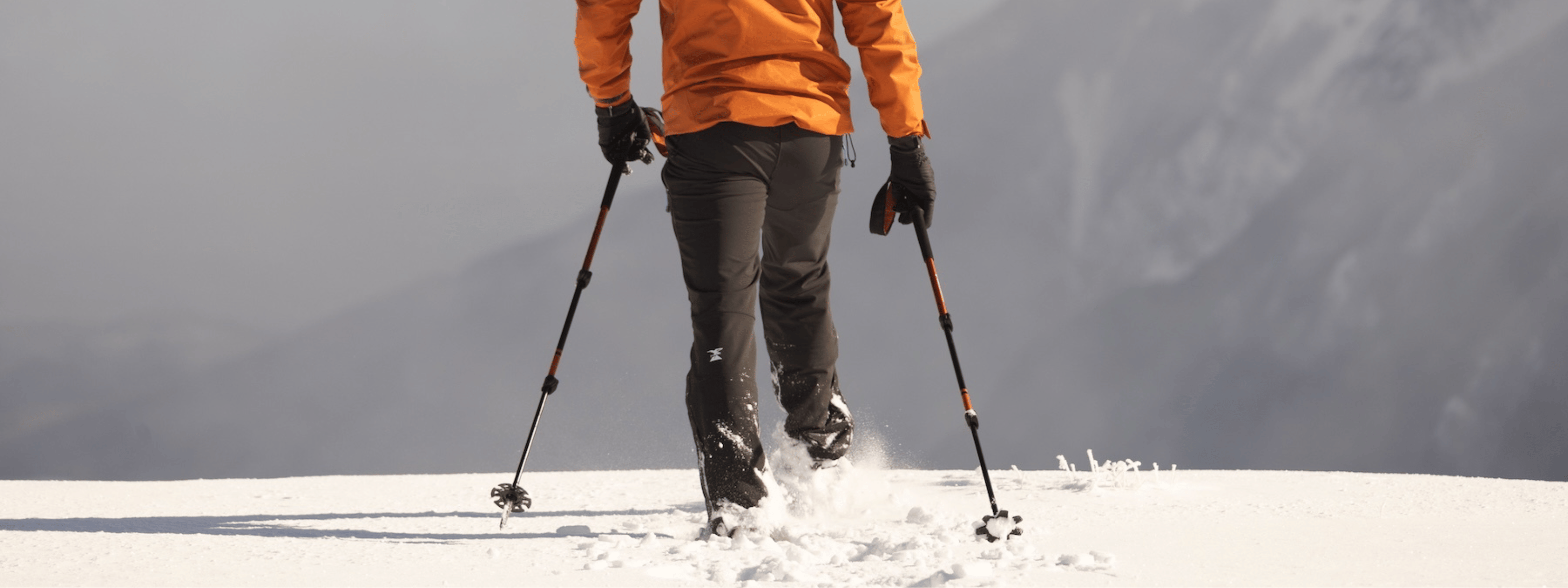 hiking poles folding