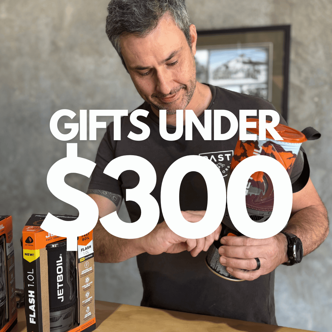 Gifts under $300
