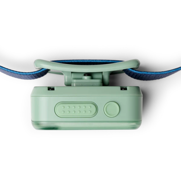 Green dog collar with blue leash on a white background