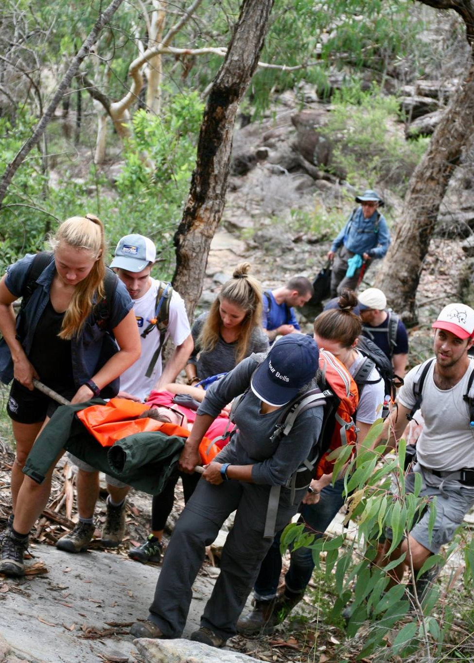 Group of hikers on a trail in a forested area