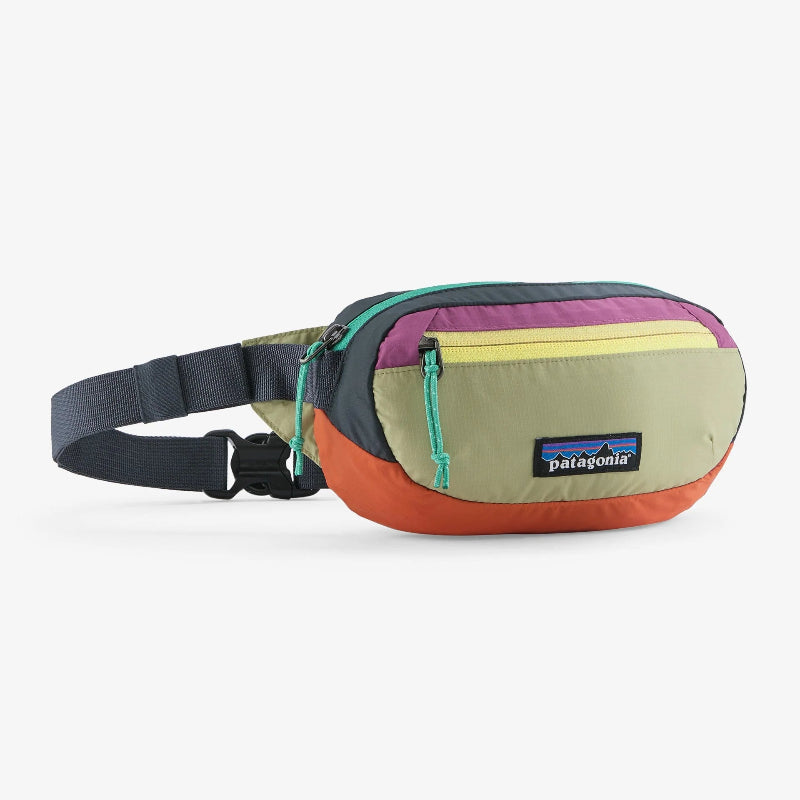 Colorful waist bag with Patagonia logo on a white background