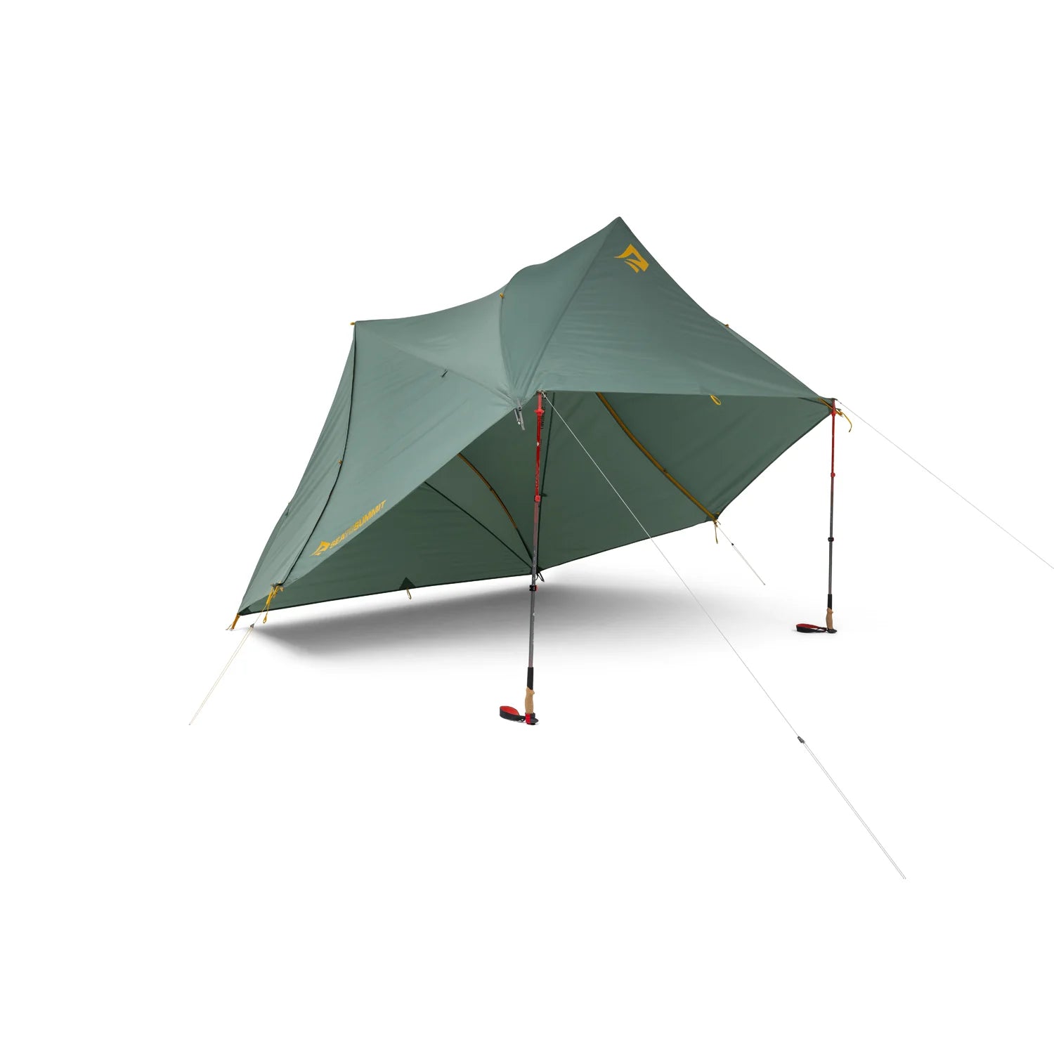 Green camping tent with red stakes on a white background