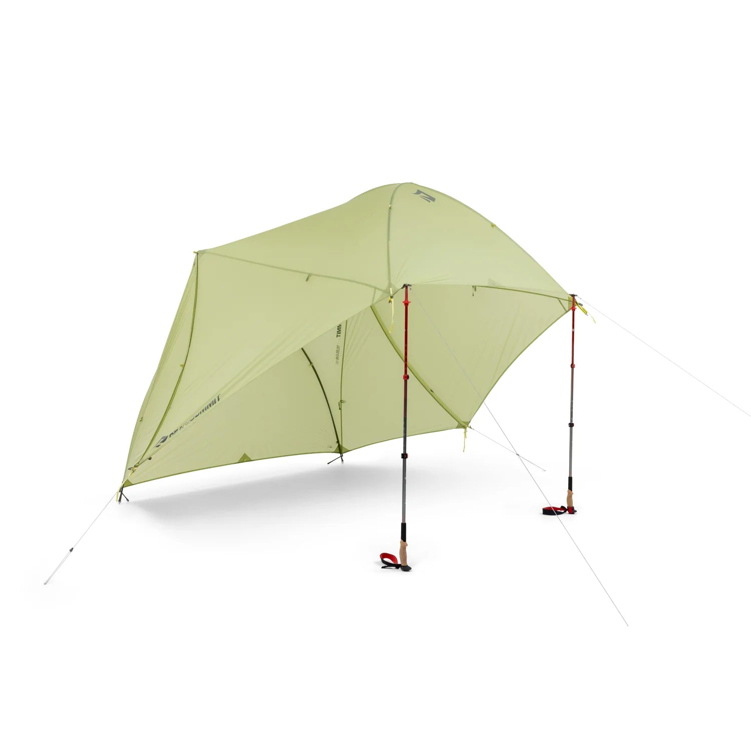 Light green camping tent with red stakes on a white background