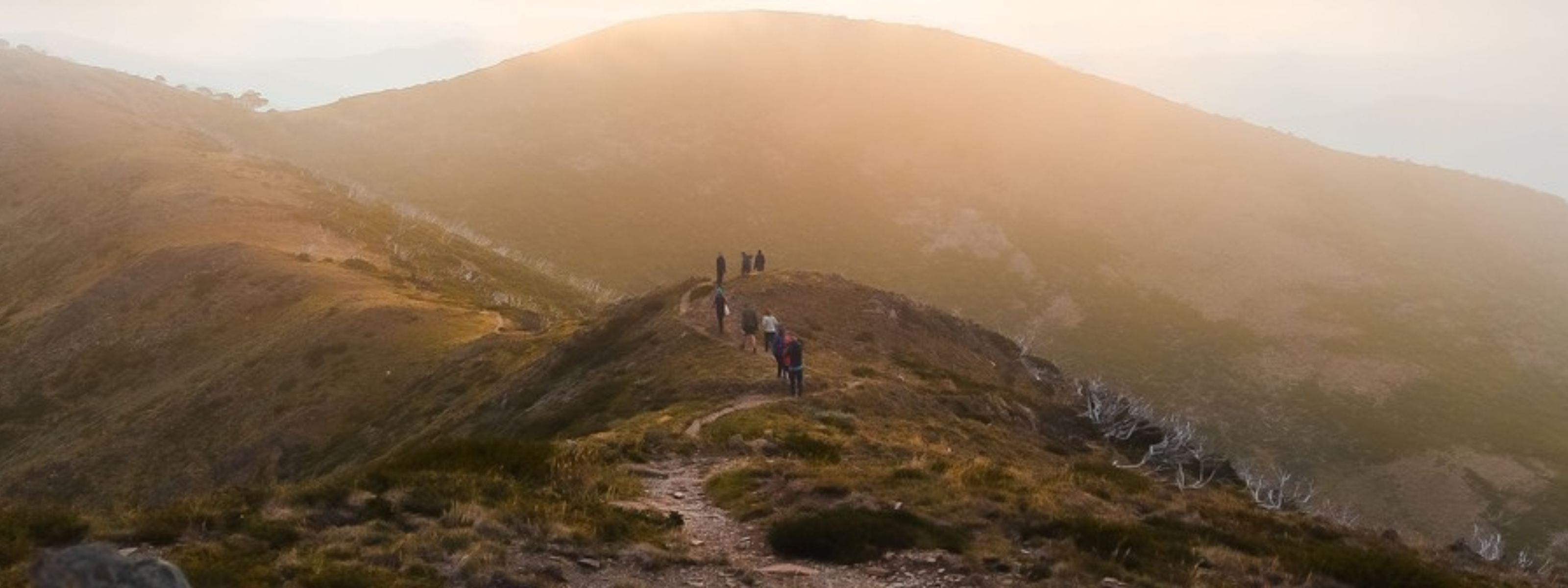 Mount Hotham Trails: a PAST Outdoors Beginners Guide