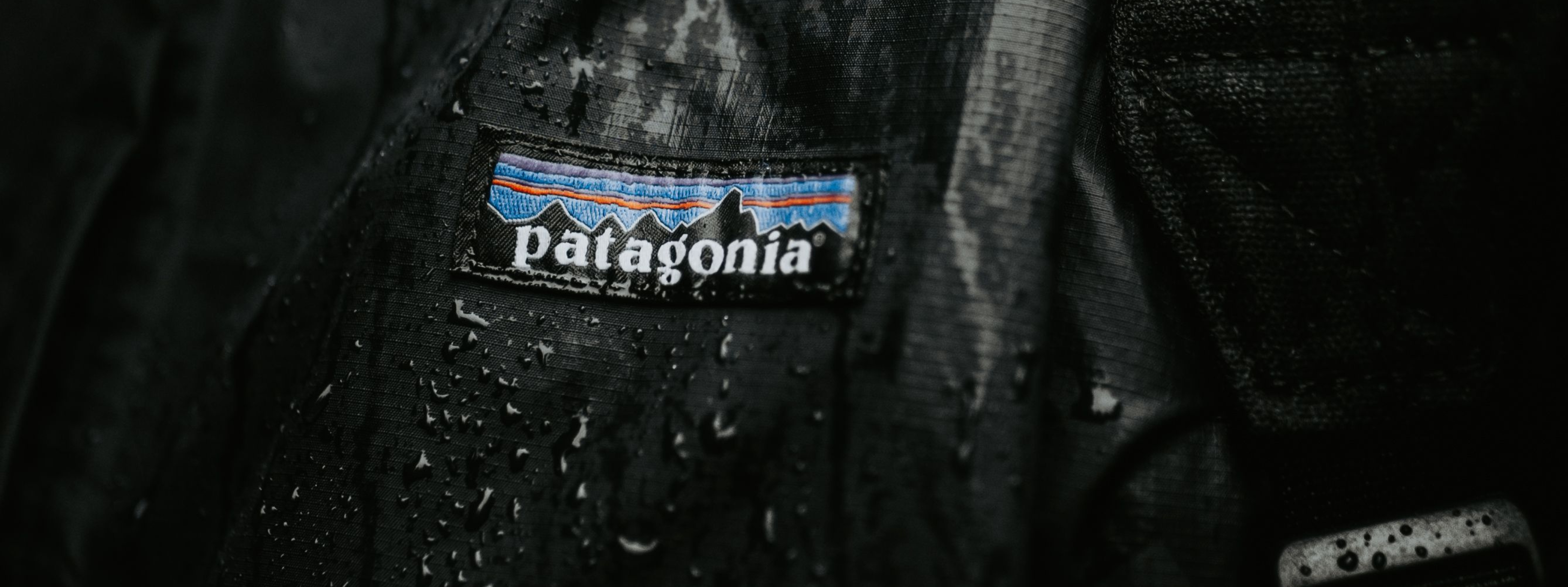 patagonia torrentshell 3l