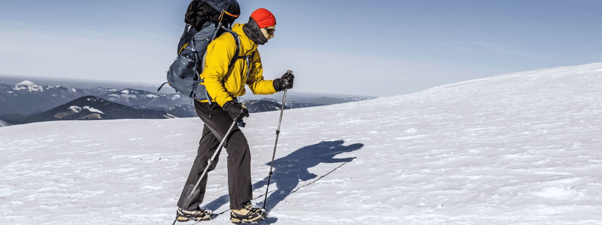 collapsable walking poles for hiking