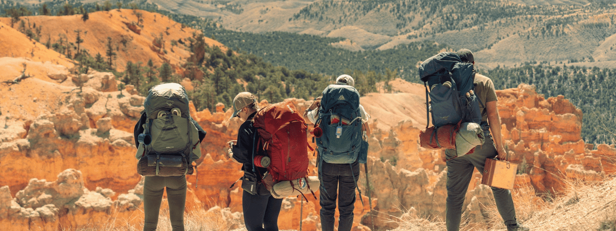 travel pack cubes