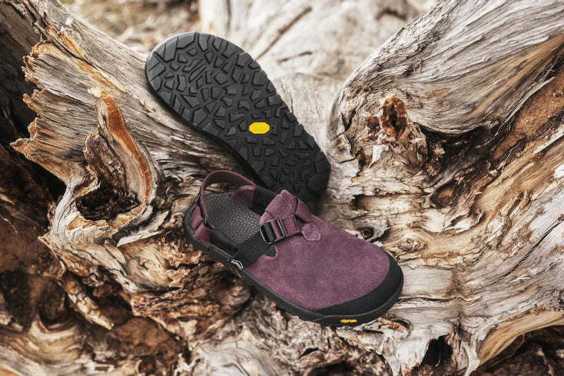 Purple sandal with black sole on a wooden log