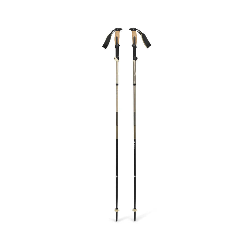 Two black hiking poles with adjustable shafts on a white background