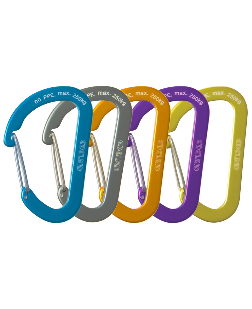 Edelrid Aranya Carabiner 1