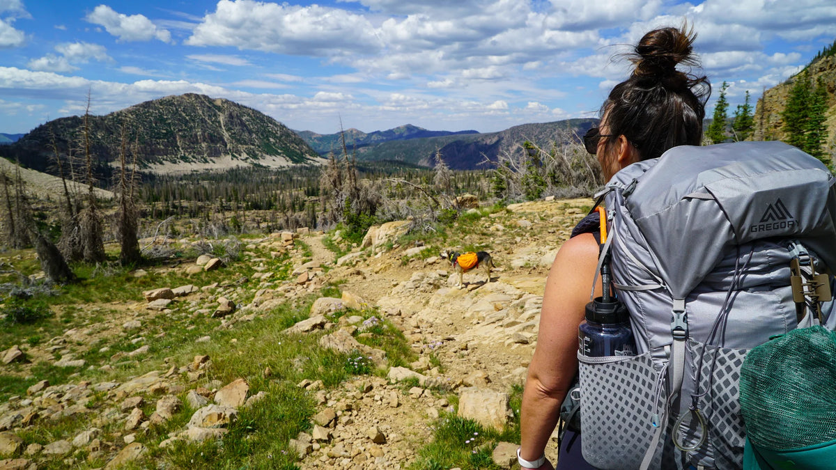 Person hiking in a mountainous area with a backpack and water bottle.