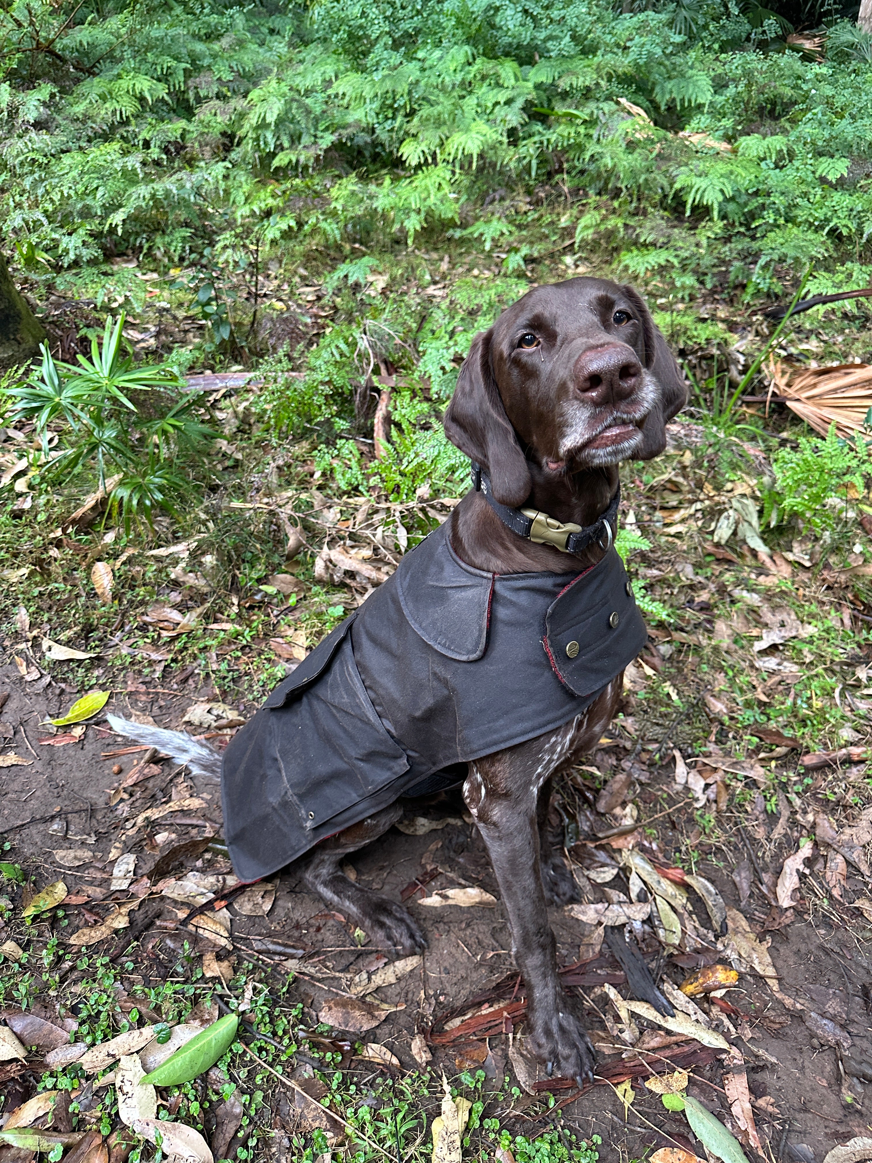 Swanndri Hunter Oilskin Dog Coat