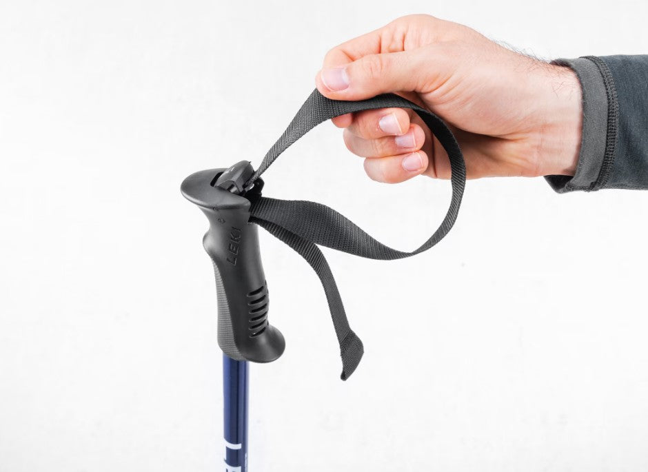 Leki Eagle Trekking Poles 2