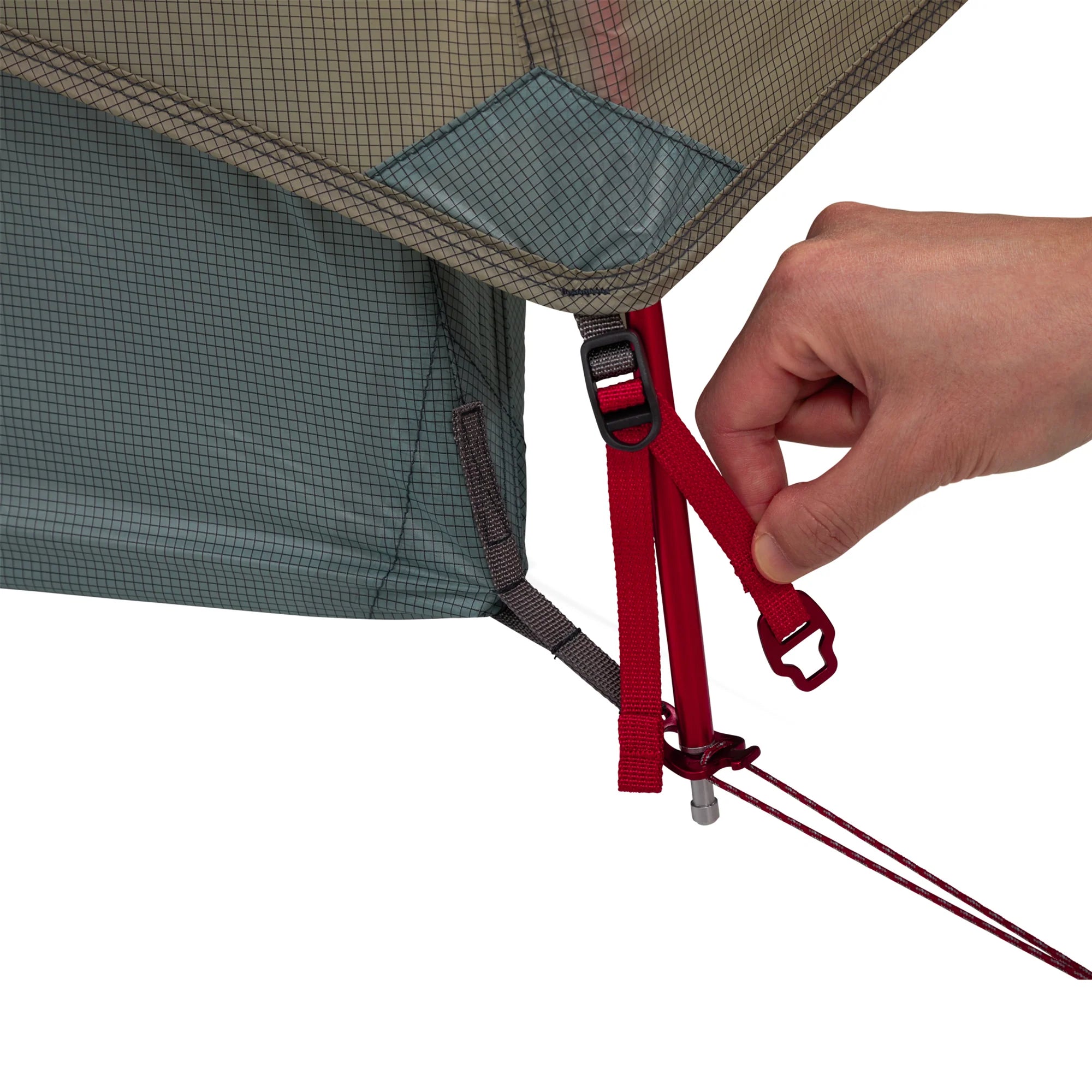 Hand securing a red strap to the tent pole