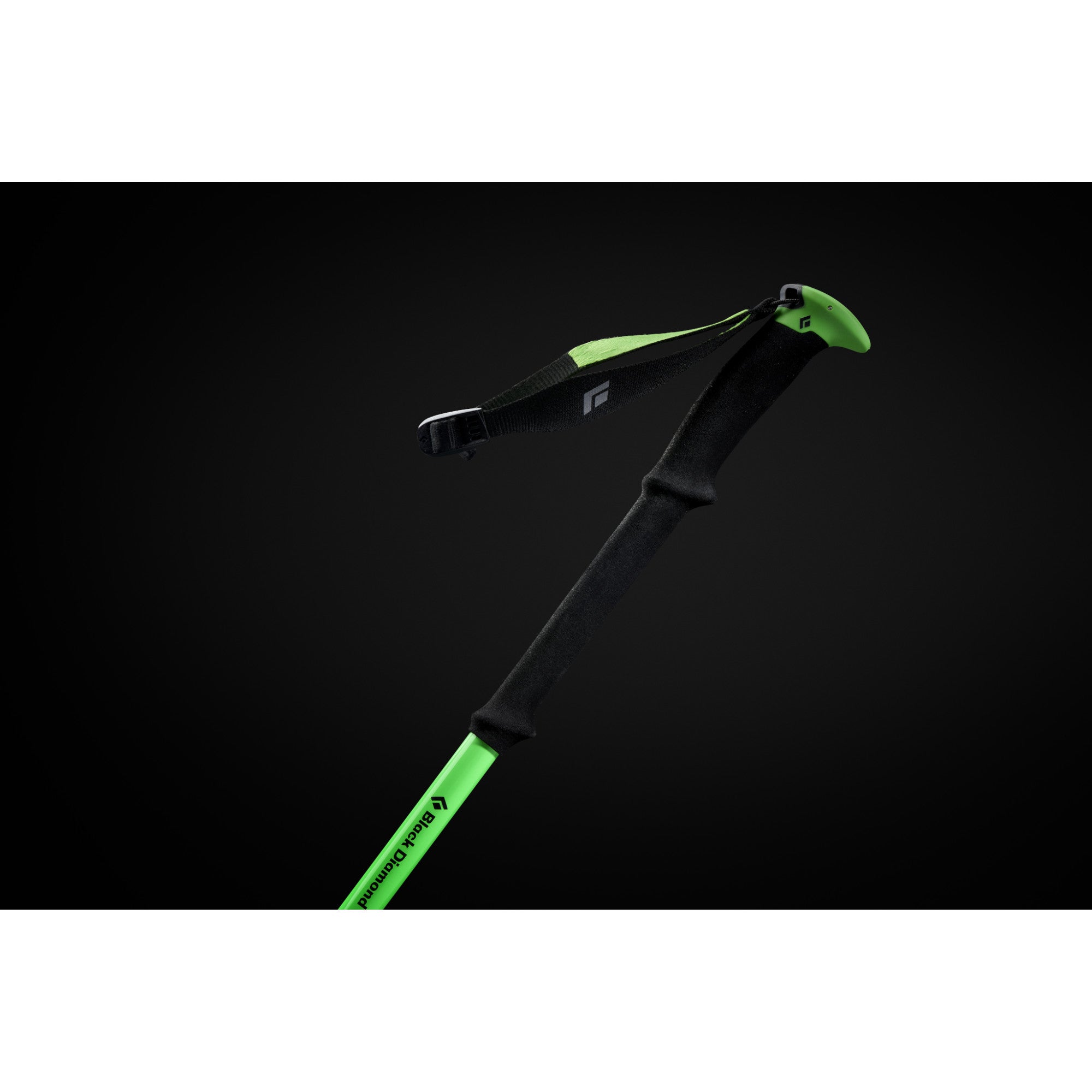 Black Diamond Expedition WR 3 Trekking Poles