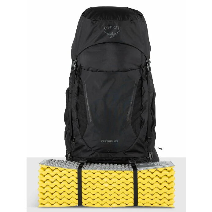 Osprey Kestrel 68
