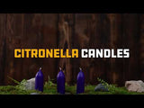 UCO - Citronella 9 Hour Candles